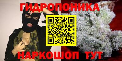 2c-b Пугачёв