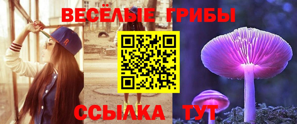 Псилоцибиновые грибы Psilocybe Альметьевск