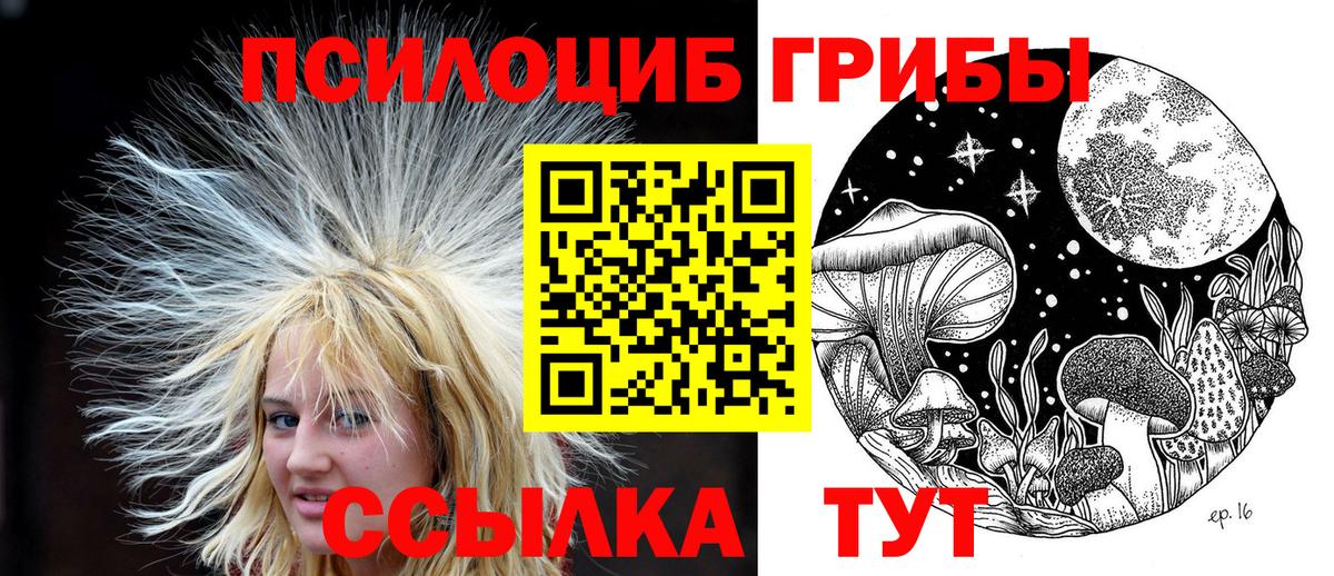 Псилоцибиновые грибы прущие грибы  Вход с VPN  Альметьевск 